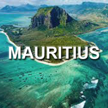 a5137261-a4a0-4178-95b2-22ddc9b44a30