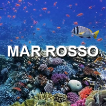 1be31310-131b-486e-bb49-ed3bcb6c7c97