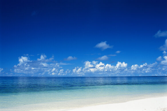 94906e37-7164-46f1-a6e5-1f1e3dcb9d91