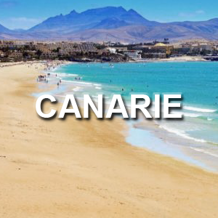 4b838b43-e8ed-4a10-a489-f9f4a29ead95