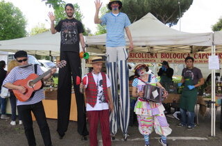 dad2b8d7-1db0-40b7-ace8-0b631b396e25 dad2b8d7-1db0-40b7-ace8-0b631b396e25