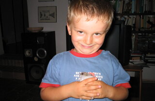 d1d7dd2b-eadf-4569-ae9c-e9f889a02914