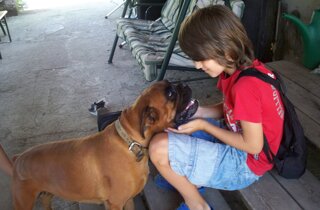 a99b1433-8f67-4bee-b212-ad28ae1b876d