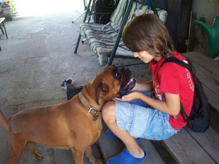 dc7fa911-1ddd-432a-b487-9486b2fe2a4a