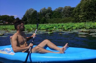 3319e8e7-649b-4eb2-b145-24251bcb6855