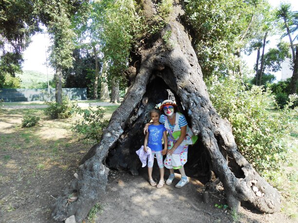 7b6da274-6569-4782-a227-3936dc04d01f