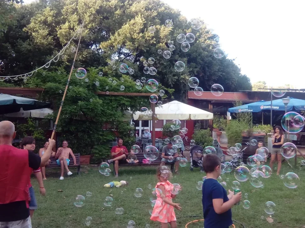 8192b2ca-9106-4c7e-86aa-251e1994926a