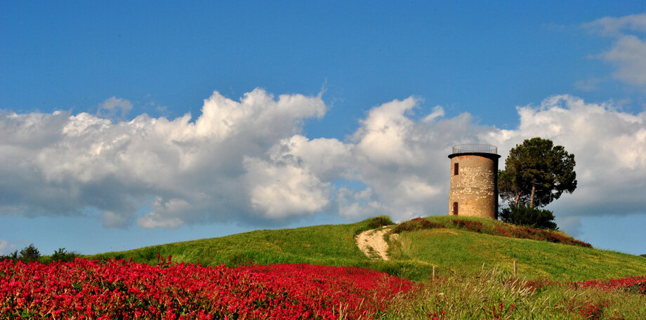 Descrizione immagine