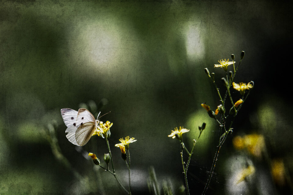 79ab6824-d0c5-4682-8298-1169f5e9e994