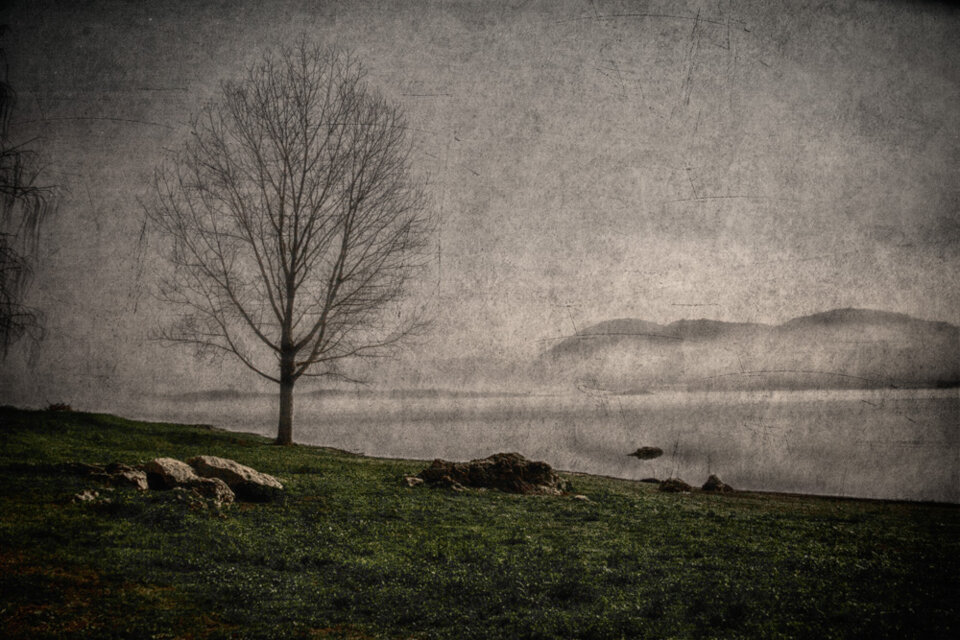 41968483-5c27-4f60-874c-1ca5333954cd