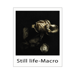 6ce02c39-84ba-48e8-9df9-1edc0e374691