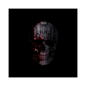 skull_teschio-fil_ferro