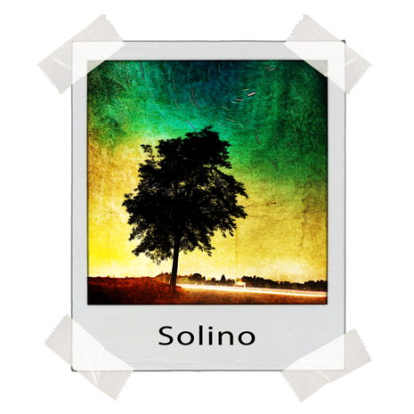 polaroid_solino-trasp