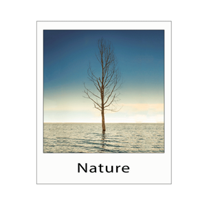 59f22330-e0fd-4420-9dff-d78134d837fa