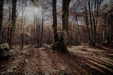 6940c1dd-23d6-4c7e-a09e-33acb8423827