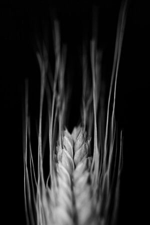 9c90c7be-dc85-4307-80dc-4d945f15b76f