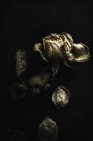 0574d853-7aa6-47ad-a548-c66a9aef8934