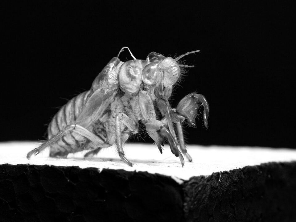 e5124fa0-5de6-43e6-abcb-8e4ed4ed3fcf