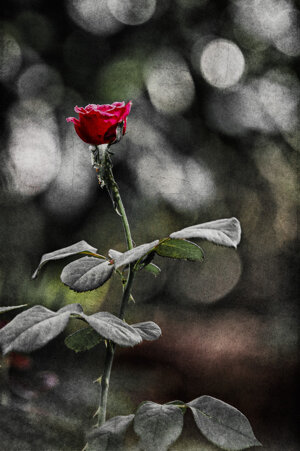 9505ba95-b4f1-445d-8d29-eafe6deb7af7