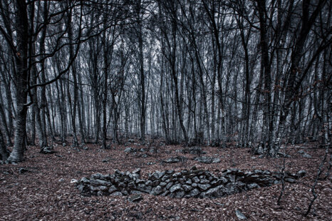 a8251ff1-269b-4da8-9848-cdb4d4467242