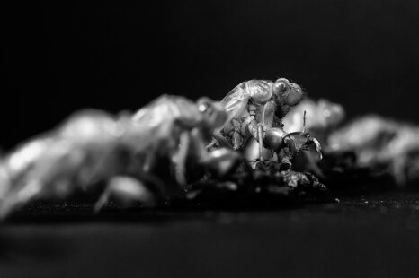 3ca774ef-70c7-4d99-b56c-8b5a5b00c6b9