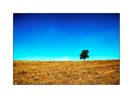 arte_solino-3_originale