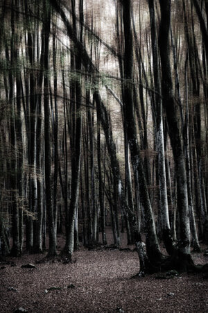 a2205ac0-b65a-4b80-8b15-81ea6d31cb70