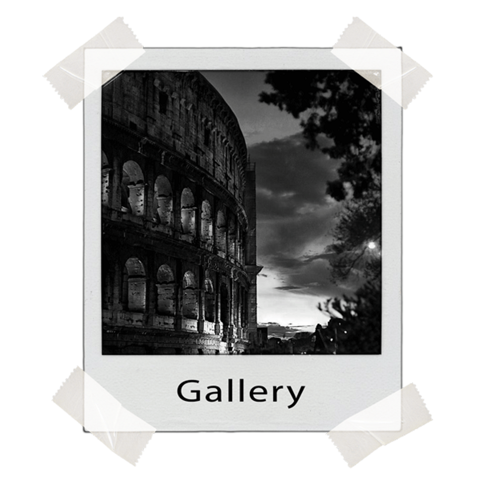 polaroid_gallery