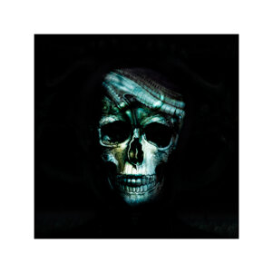 skull_teschio-hrgigerpat_ii