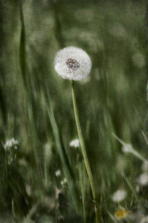 0ffd9a01-bfe7-4a13-b19e-8670b6433a07