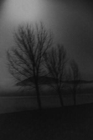 ea9ba4a9-6296-486d-97f2-1f53875242ee