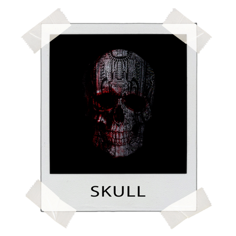 polaroid_skull-trasp