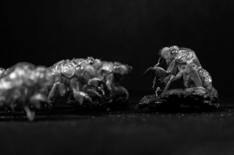 fa8e638e-f035-422c-814d-a7b1091a0a37