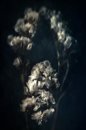 7cce697f-82de-445b-b2f9-29dcc41880af