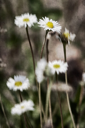 94a471a0-dfcc-450b-961b-448ca9337d94