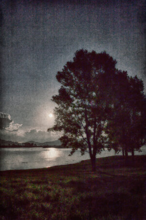 8e037023-5feb-4d35-9200-9864c98f98f2