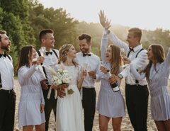 Wedding dj party Wedding dj party