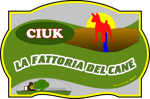 509cffb6-1211-4f9f-8626-dbd7a98556d8