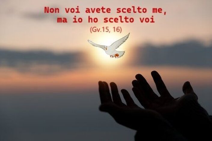 d3ba50c8-62de-446f-be64-d80dd10639fc d3ba50c8-62de-446f-be64-d80dd10639fc