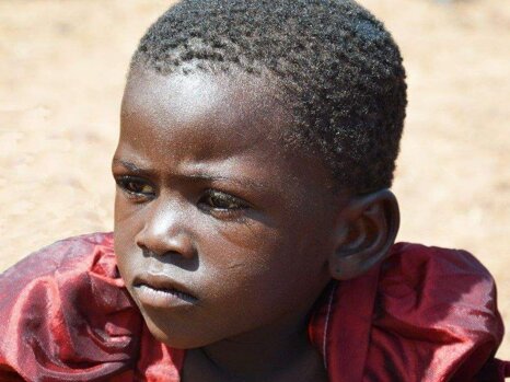 9b50e829-7f21-44cb-bcad-414d92c92a59 9b50e829-7f21-44cb-bcad-414d92c92a59