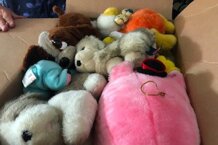 92ad1975-5e9a-4c4f-a058-0555fc0d1dcb