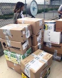 2527c66f-7fdb-4f0c-8cf3-0f886d0991bf