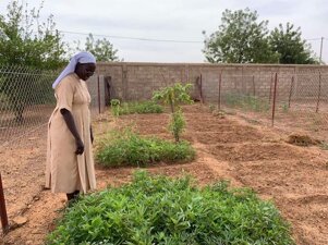 25d59174-83da-412f-b291-aab270c620d1.jpeg 25d59174-83da-412f-b291-aab270c620d1.jpeg