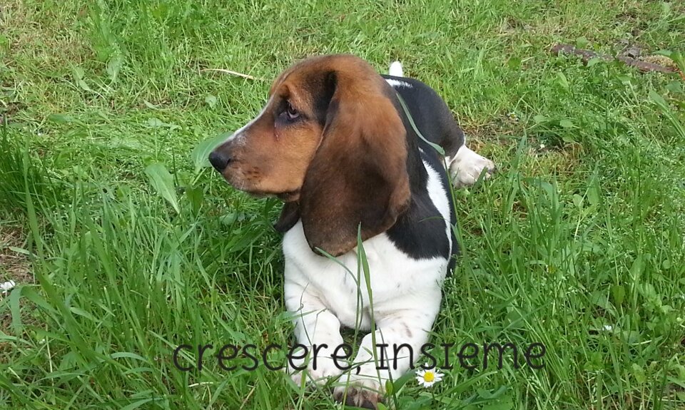 d9884923bd4841c482ea06df8e807d7e d9884923bd4841c482ea06df8e807d7e