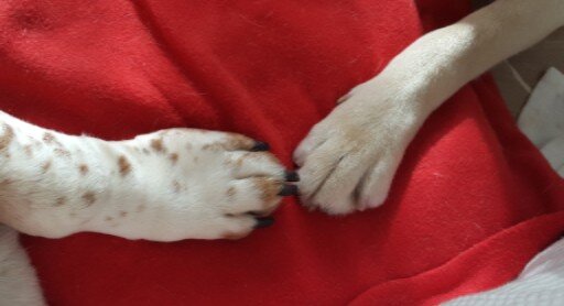 731f48df5ee54fcf9a311af98d3944f5