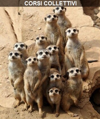 f27d0001-5872-4140-a6cf-d23e1e1e6b65