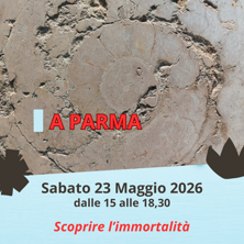 giovedì 7 maggio 2026