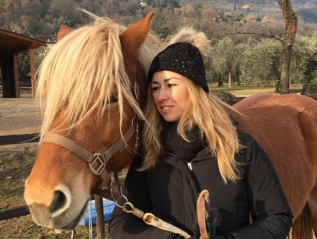 d71b4a3a-e539-48b2-9916-338a65704717