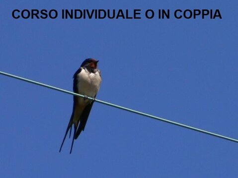 ron2_200644171748_ron2