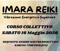 whatsapp image 2026-03-19 at 10.37.43.jpeg